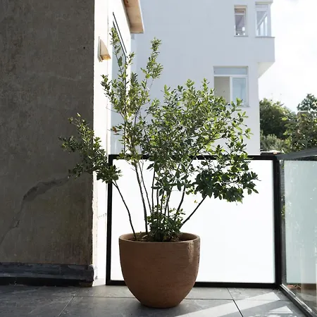 別荘 Agnes オステンド