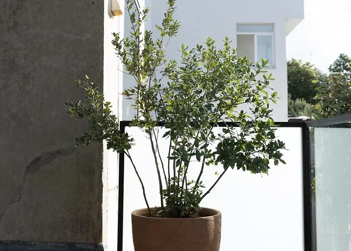 בית נופש Agnes אוסטנדה